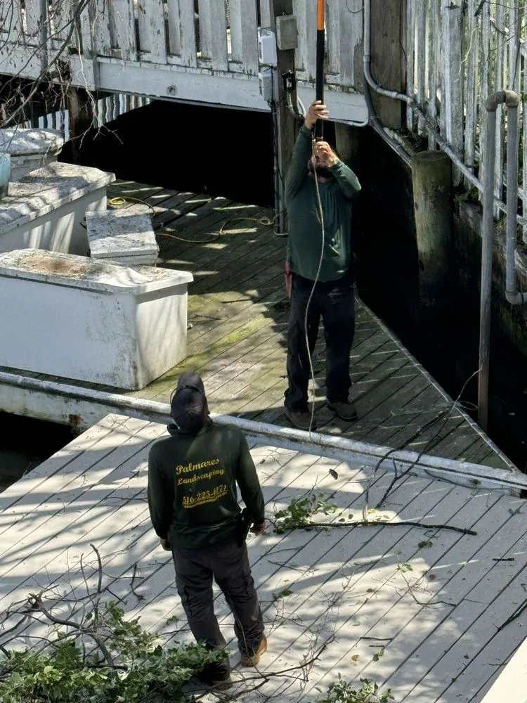 Custom landscape design in Valley Stream, NY by Palmares Landscaping