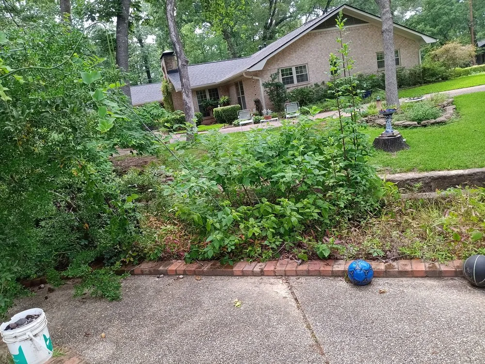 Custom lawn care service for outdoor upgrades in Tyler, TX by Palma’s Landscaping