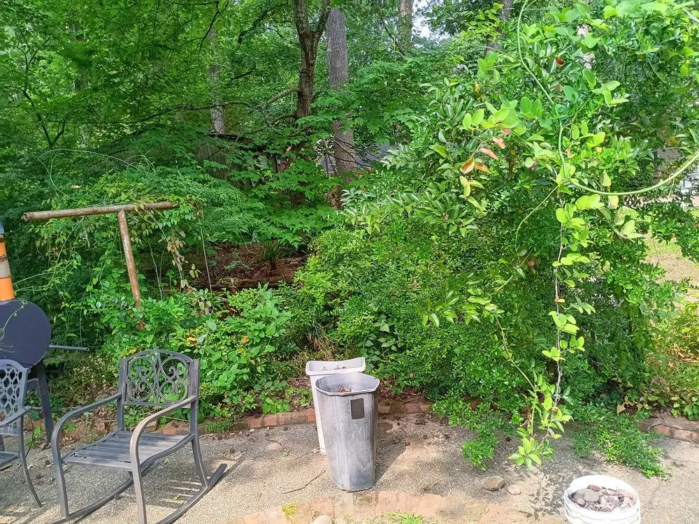 Local landscape design experts serving Tyler, TX - Palma’s Landscaping