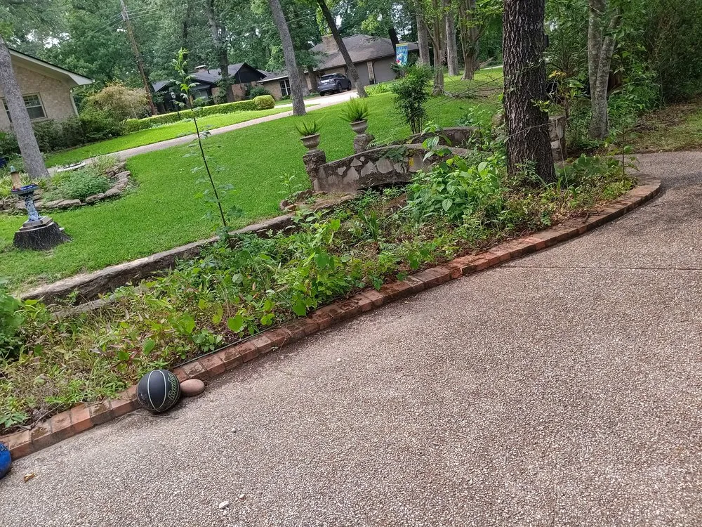 Affordable yard maintenance in Tyler, TX - Palma’s Landscaping