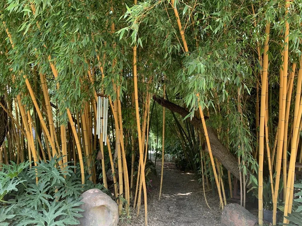 Reliable landscaping services for residential properties across San Antonio, TX - PalmBuddha