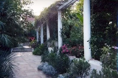 Affordable outdoor landscaping in San Antonio, TX by PalmBuddha