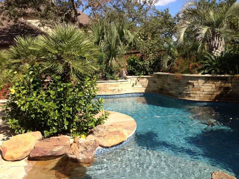 Affordable landscaping services with custom design in San Antonio, TX by PalmBuddha