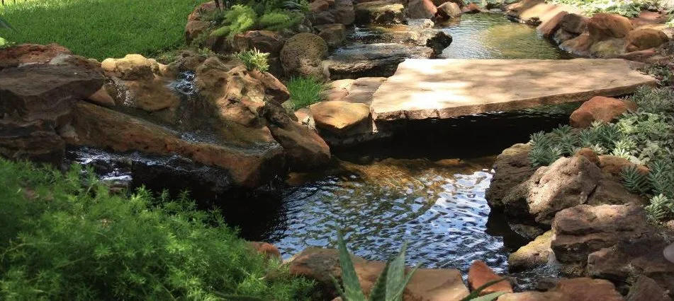 Top-rated outdoor landscaping in San Antonio, TX - PalmBuddha