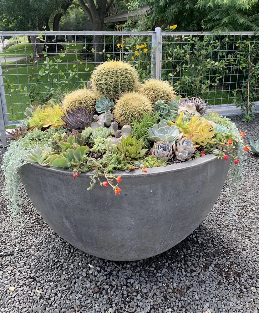 Reliable landscaping services for residential properties across San Antonio, TX - PalmBuddha