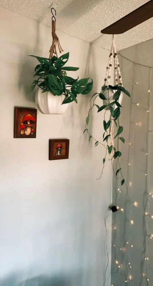 Top-rated outdoor landscaping in San Antonio, TX by PalmBuddha