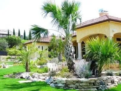 Trusted landscape installation in San Antonio, TX - PalmBuddha