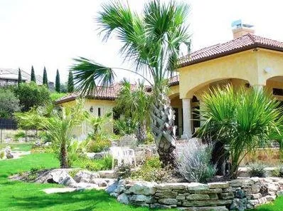 Local lawn mowing service for year-round maintenance across San Antonio, TX - PalmBuddha