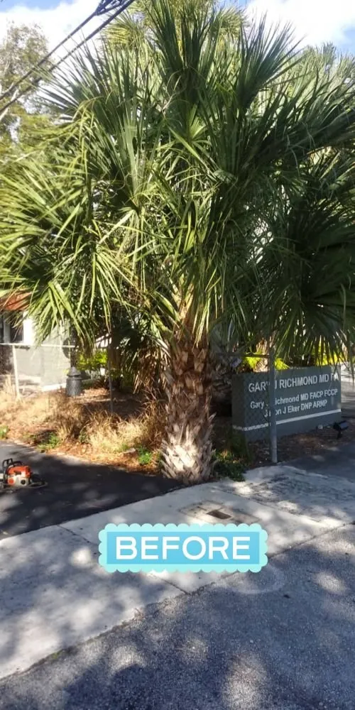 Custom lawn mowing service experts serving Oakland Park, FL - Palmer Bros