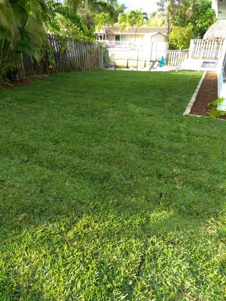Affordable landscaping services experts serving Oakland Park, FL - Palmer Bros