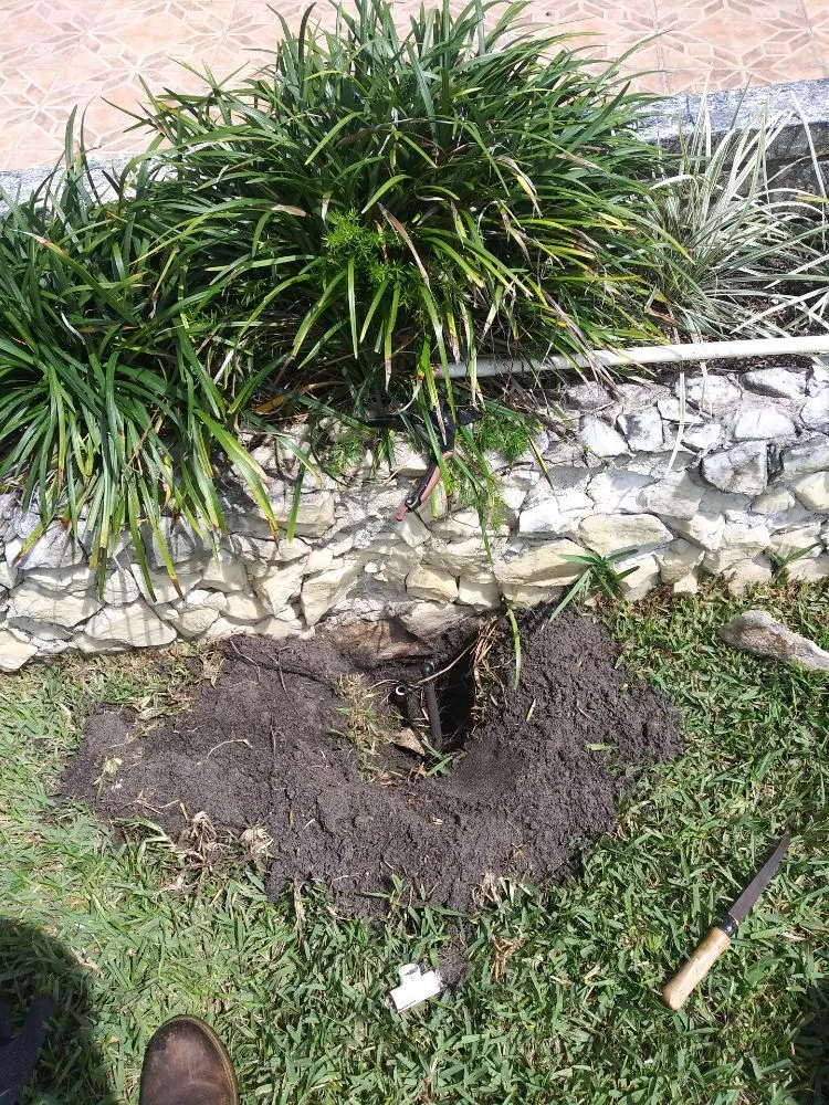 Custom garden landscaping experts serving Oakland Park, FL - Palmer Bros