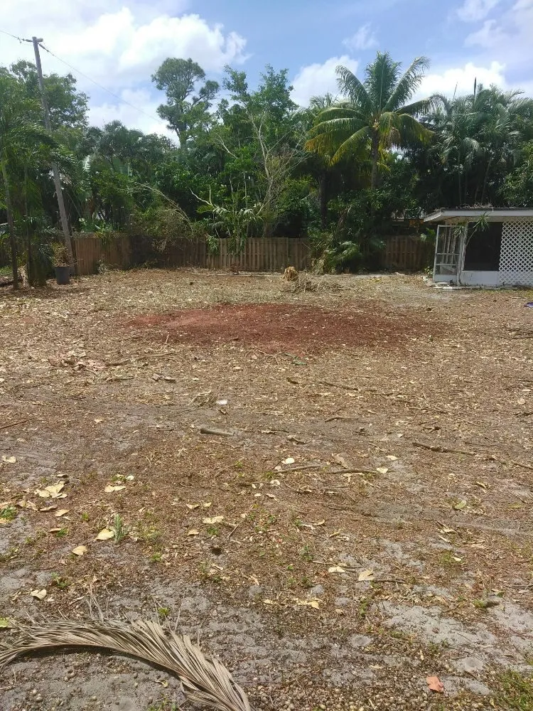 Local landscape design in Oakland Park, FL by Palmer Bros