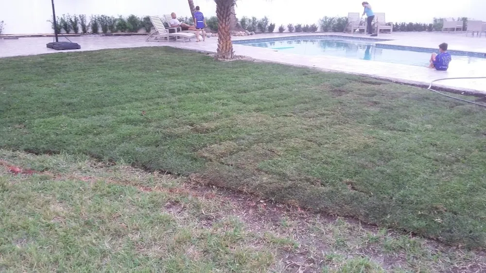 Professional yard cleanup service for year-round maintenance in Oakland Park, FL by Palmer Bros