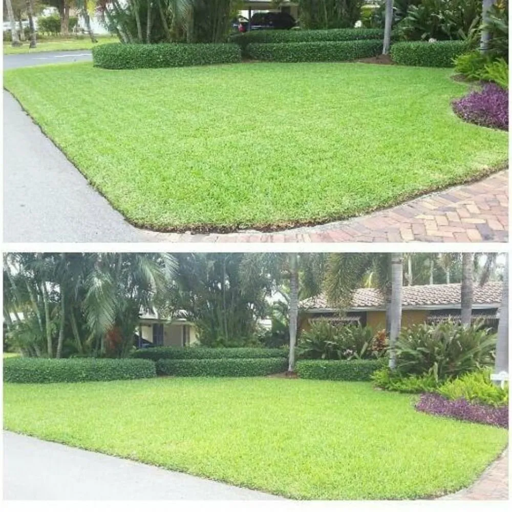 Expert garden landscaping for homes across Oakland Park, FL - Palmer Bros