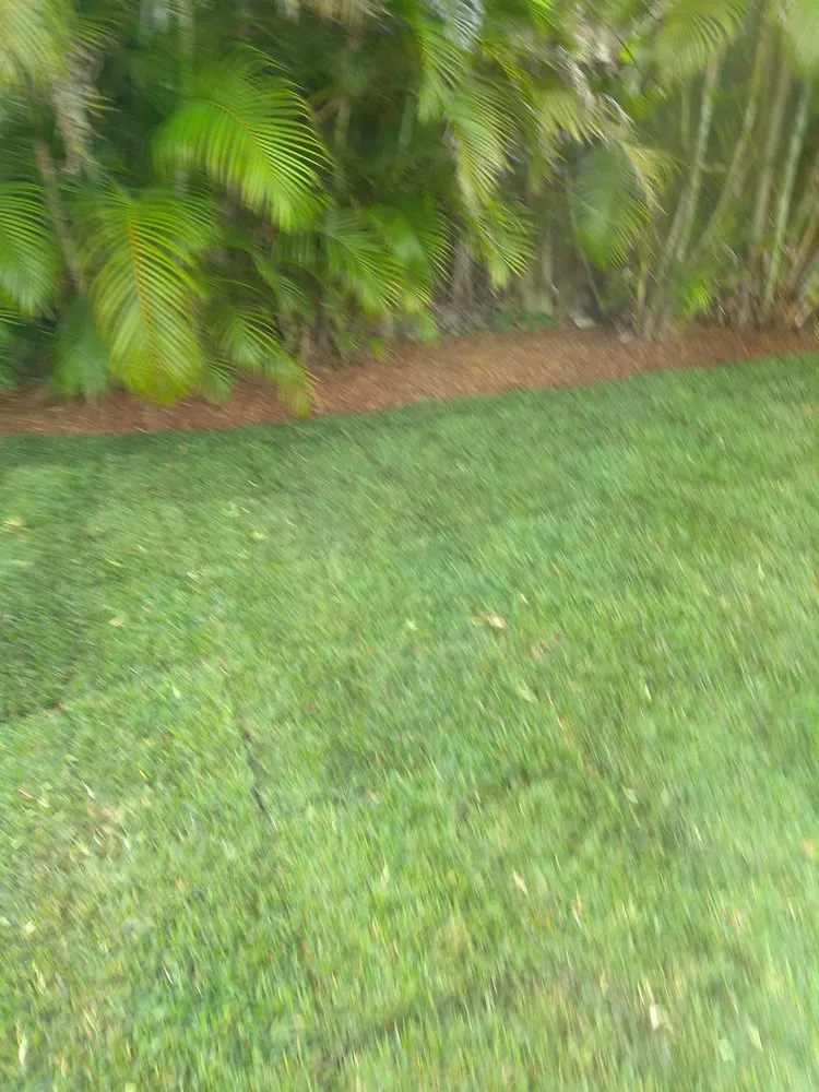 Expert lawn mowing service in Oakland Park, FL - Palmer Bros