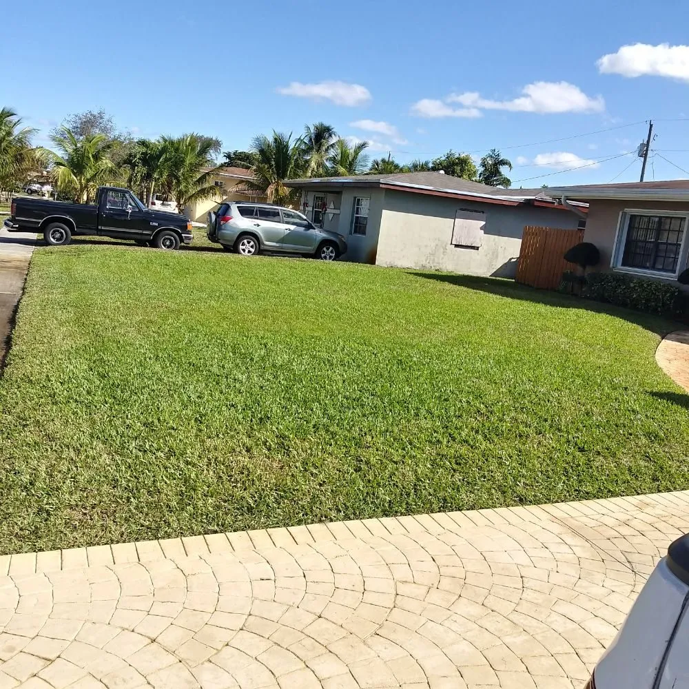 Affordable yard cleanup service experts serving Oakland Park, FL - Palmer Bros