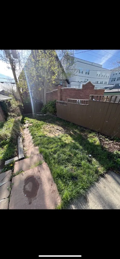 Top-rated yard cleanup service experts serving Commerce City, CO - Palmer Landscaping