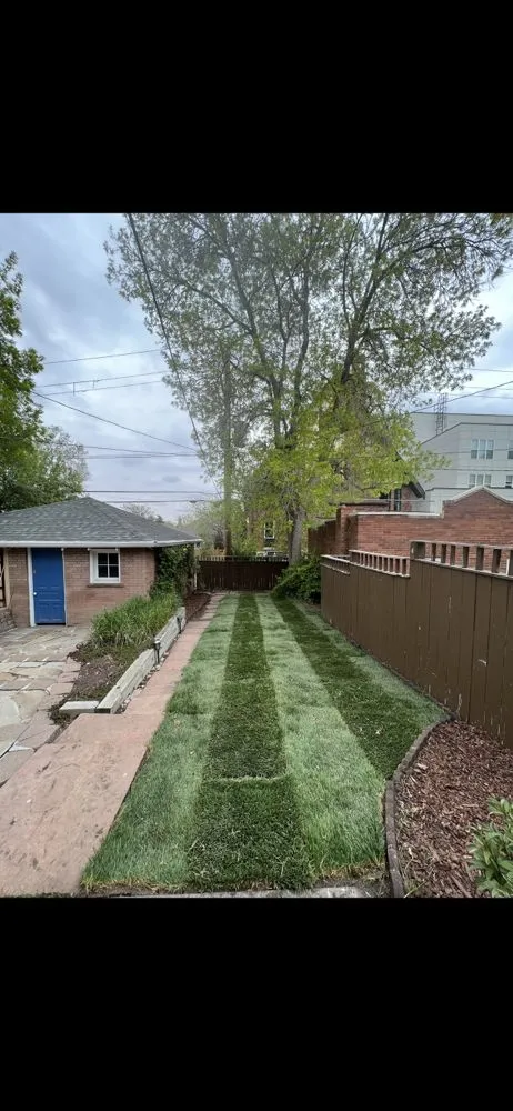Professional lawn care service for year-round maintenance across Commerce City, CO - Palmer Landscaping