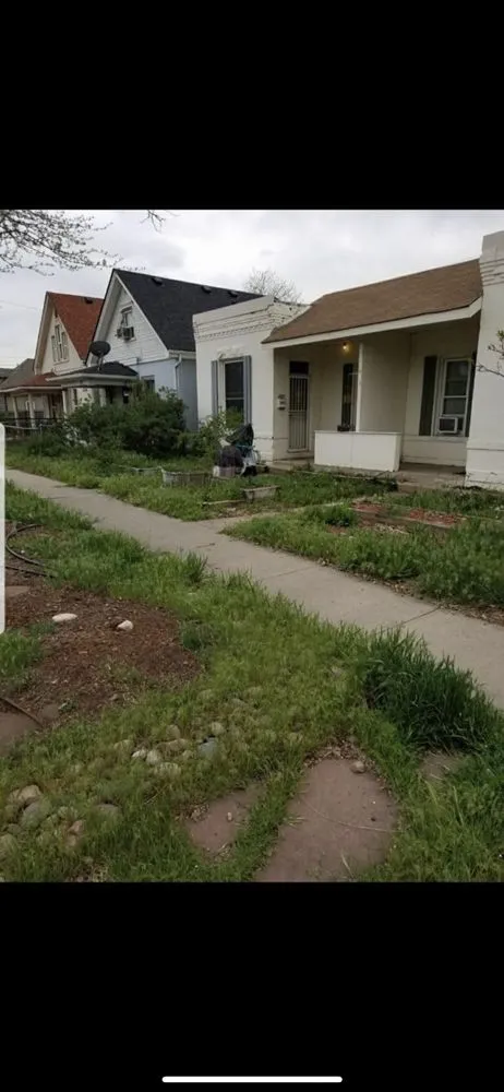Custom yard cleanup service in Commerce City, CO by Palmer Landscaping