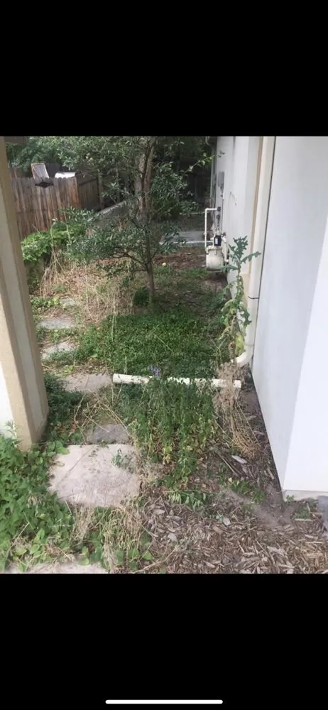 Affordable yard maintenance in Commerce City, CO by Palmer Landscaping