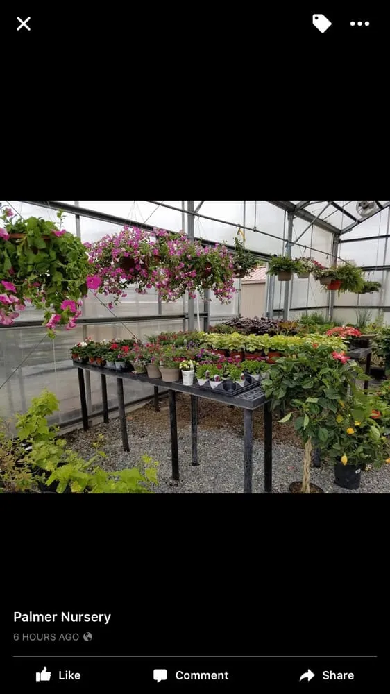 Affordable residential landscaping in Easton, PA by Palmer Nursery