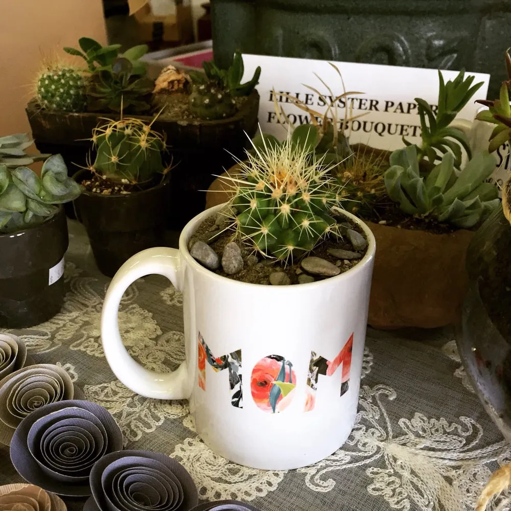 Top-rated outdoor landscaping experts serving Easton, PA - Palmer Nursery