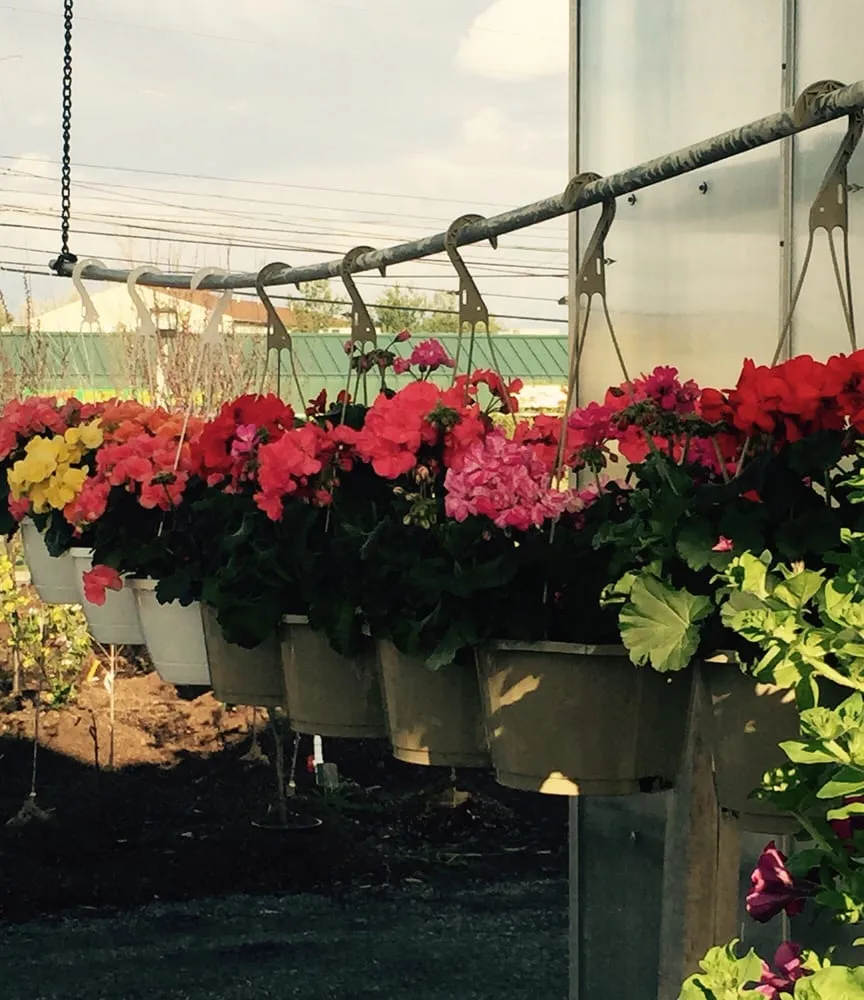 Professional residential landscaping experts serving Easton, PA - Palmer Nursery
