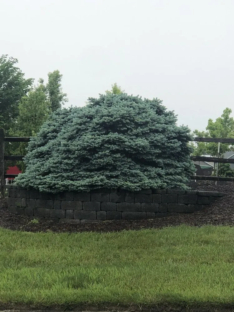 Professional yard maintenance in Easton, PA by Palmer Nursery