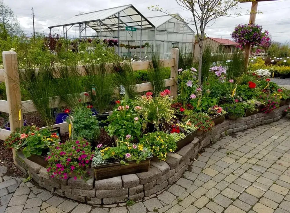 Top-rated yard cleanup service near you across Easton, PA - Palmer Nursery