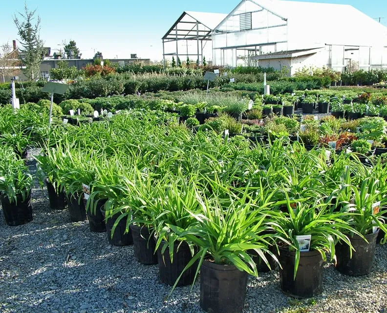 Expert outdoor landscaping in Easton, PA - Palmer Nursery