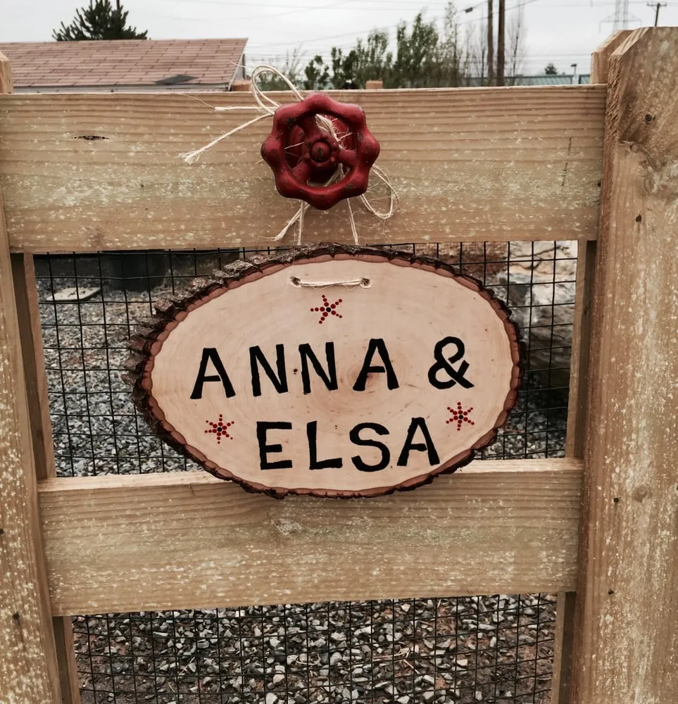 Top-rated garden landscaping experts serving Easton, PA - Palmer Nursery