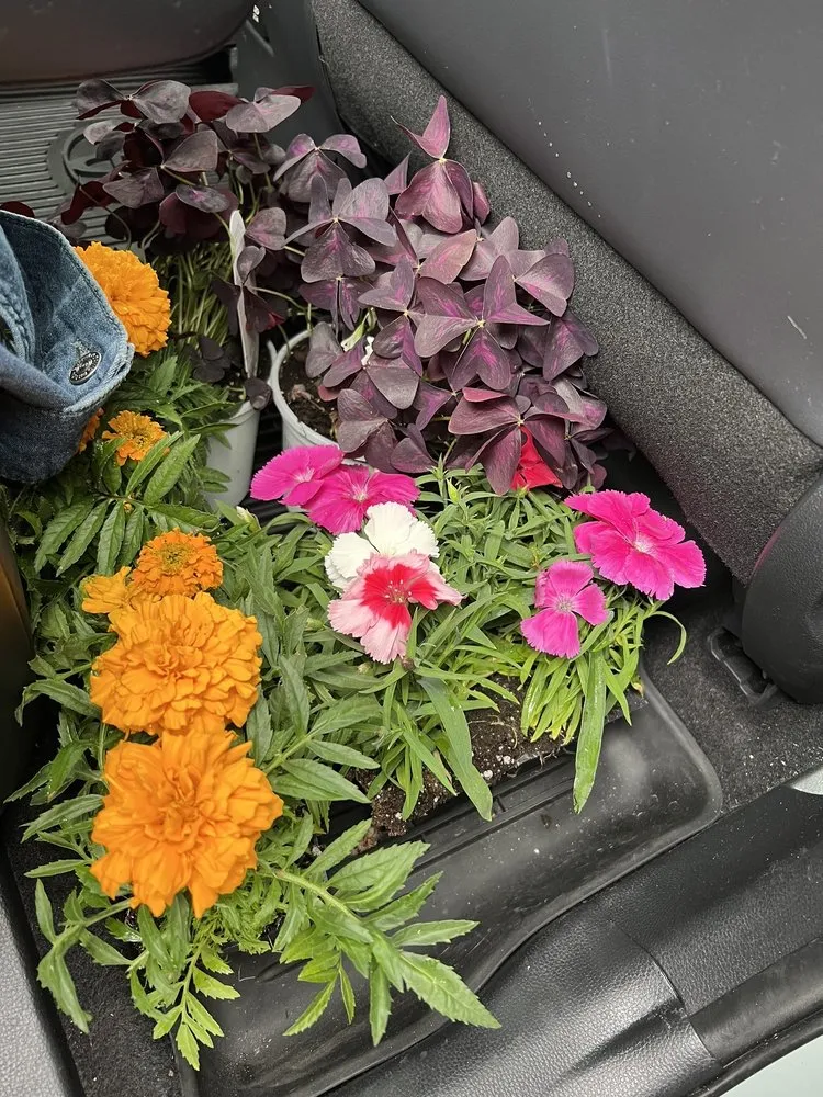 Professional lawn mowing service with custom design in Easton, PA by Palmer Nursery