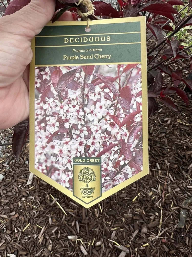 Custom garden landscaping experts serving Easton, PA - Palmer Nursery