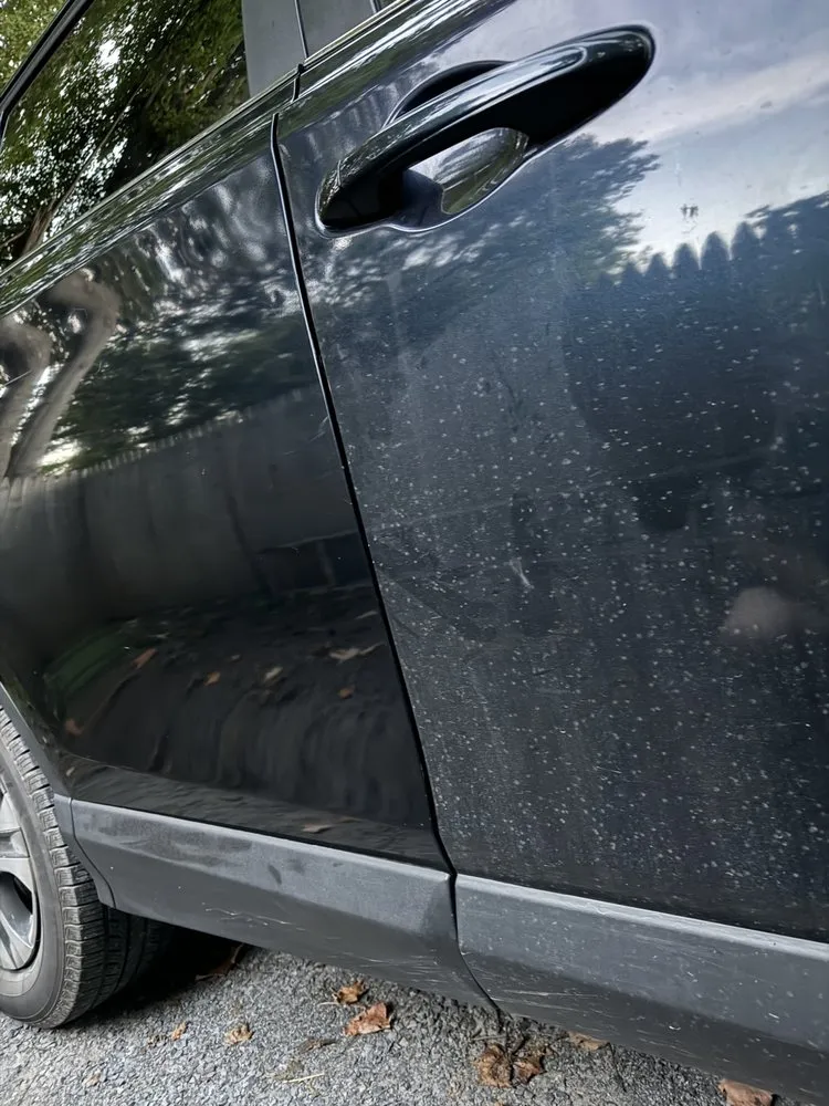 Top-rated landscaping services for year-round maintenance in Queensbury, NY by Palmer Services