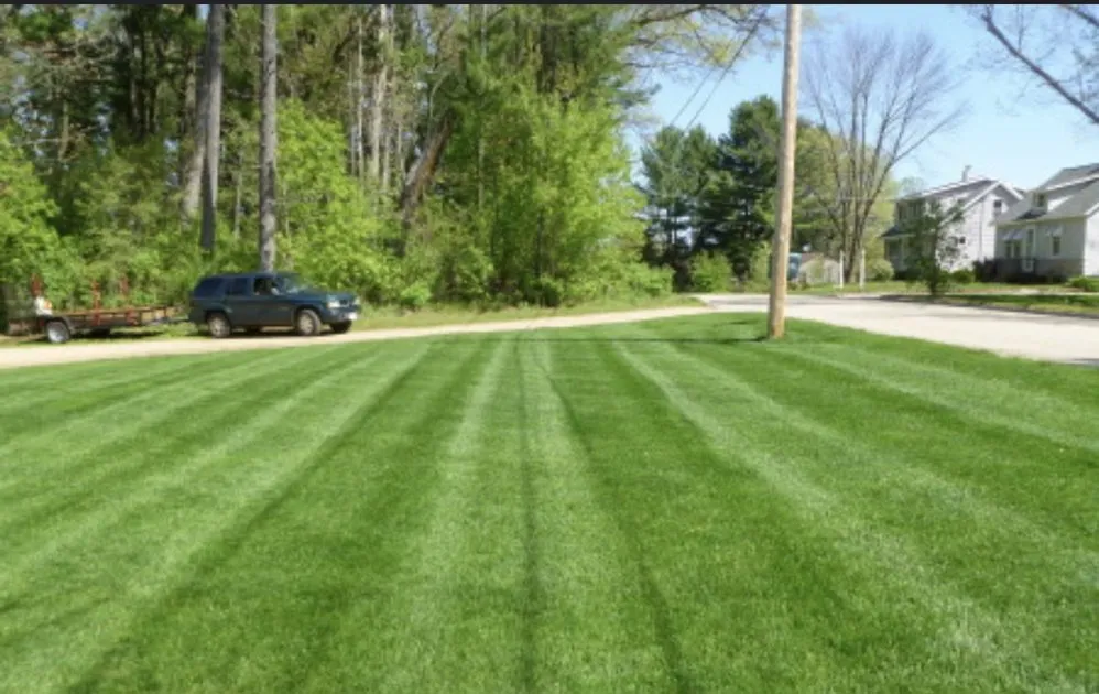 Expert lawn care service for residential properties in Newberry, SC by Palmero Services