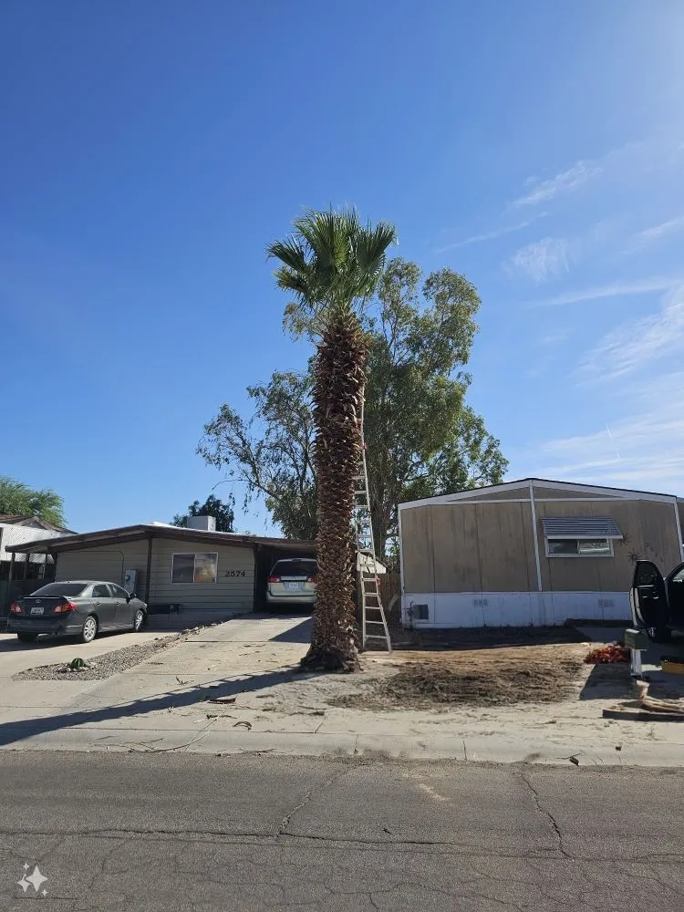 Expert yard maintenance in Bullhead City, AZ by Palmeros Landscaping