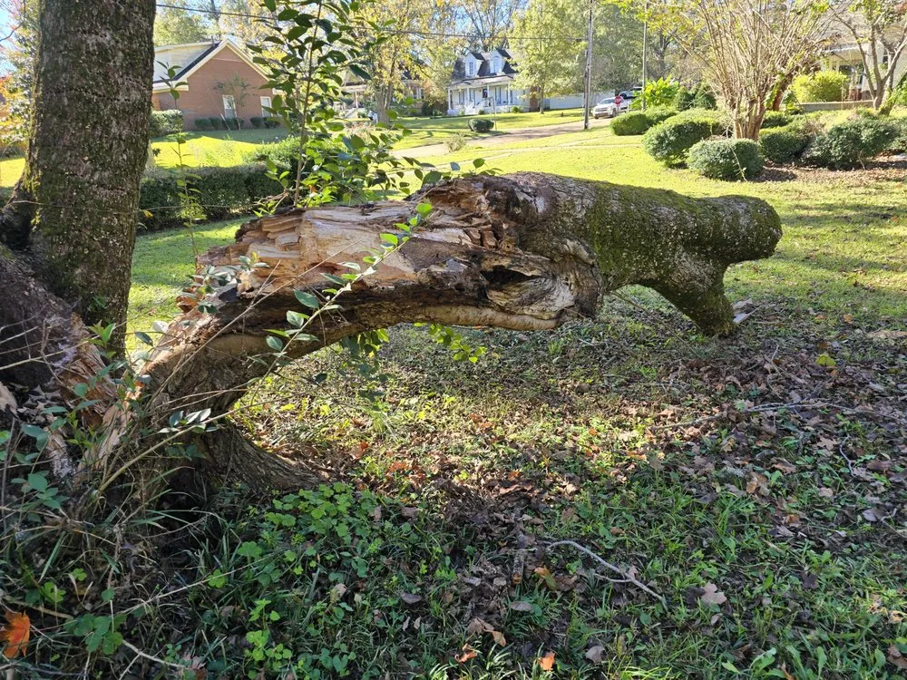 Expert residential landscaping experts serving Eupora, MS - Palmer's Exterior Services