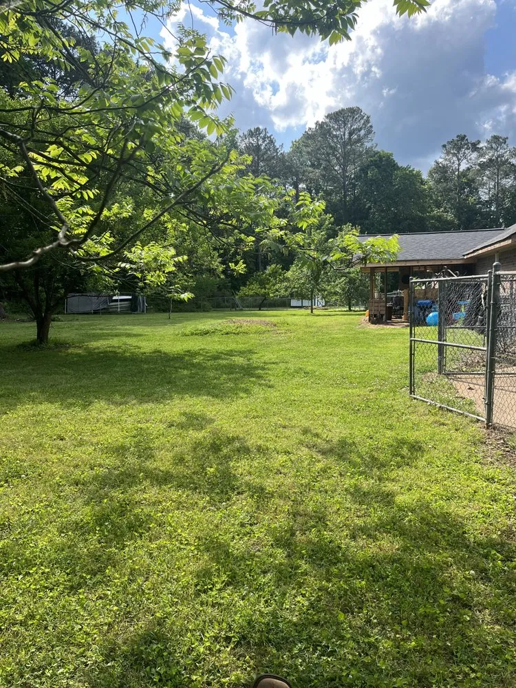 Top-rated landscaping services in Covington, GA by Palmer’s Land Scraping