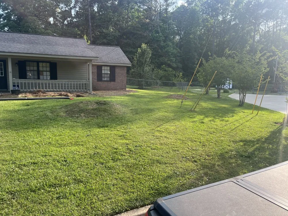 Custom landscaping services experts serving Covington, GA - Palmer’s Land Scraping
