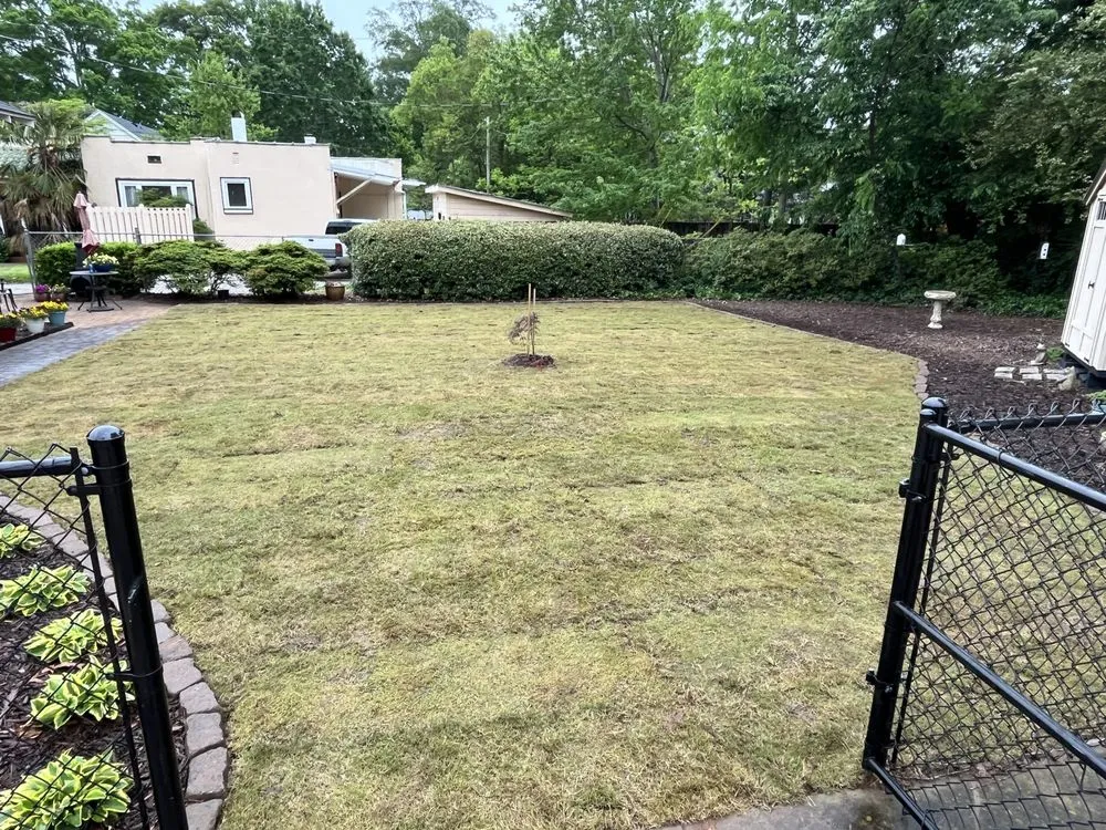 Affordable lawn care service in Spartanburg, SC - Palmer's Landscaping