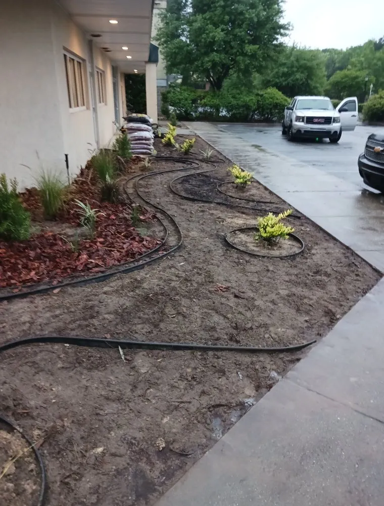 Expert outdoor landscaping for year-round maintenance in Savannah, GA by Palmer's Loving Lawn's & light landscaping