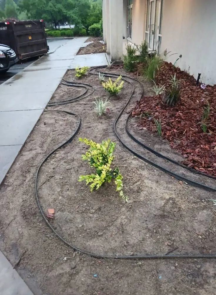 Professional landscaping services in Savannah, GA by Palmer's Loving Lawn's & light landscaping