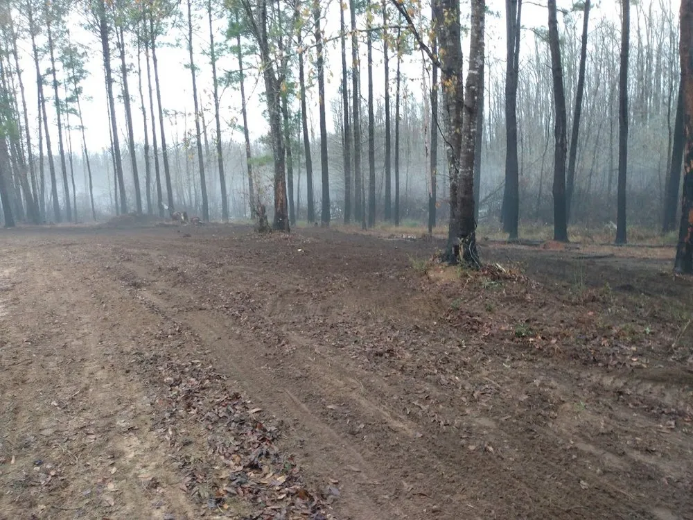 Professional lawn mowing service experts serving Marion, SC - Palmetto Clear Cut