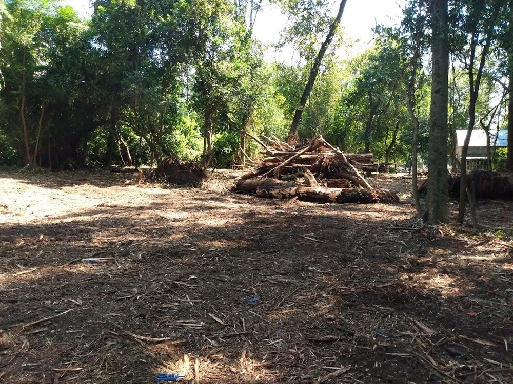 Top-rated residential landscaping experts serving Marion, SC - Palmetto Clear Cut