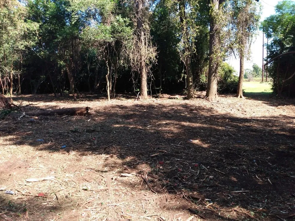 Local outdoor landscaping for year-round maintenance in Marion, SC by Palmetto Clear Cut