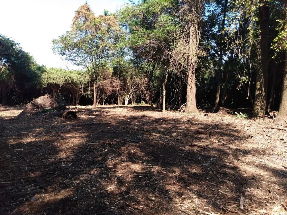 Reliable garden landscaping near you across Marion, SC - Palmetto Clear Cut