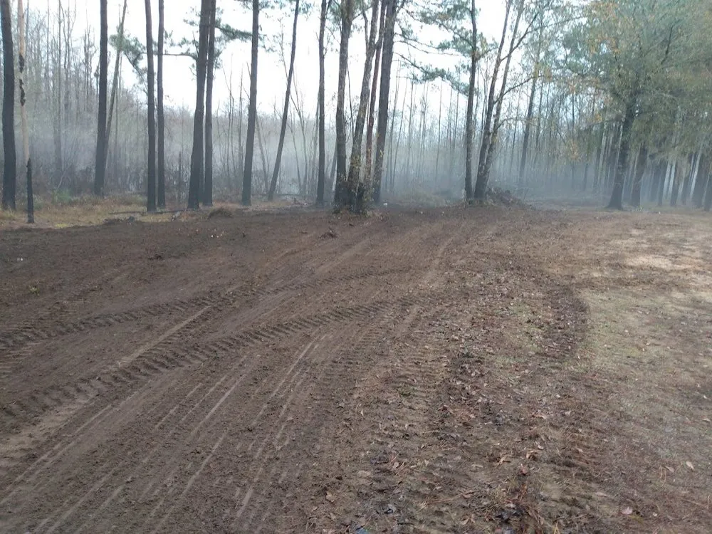 Reliable lawn care service for residential properties in Marion, SC by Palmetto Clear Cut