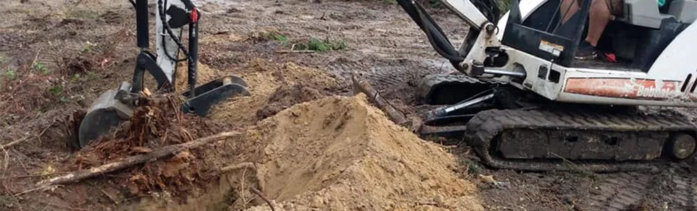 Custom yard cleanup service for year-round maintenance across Marion, SC - Palmetto Clear Cut