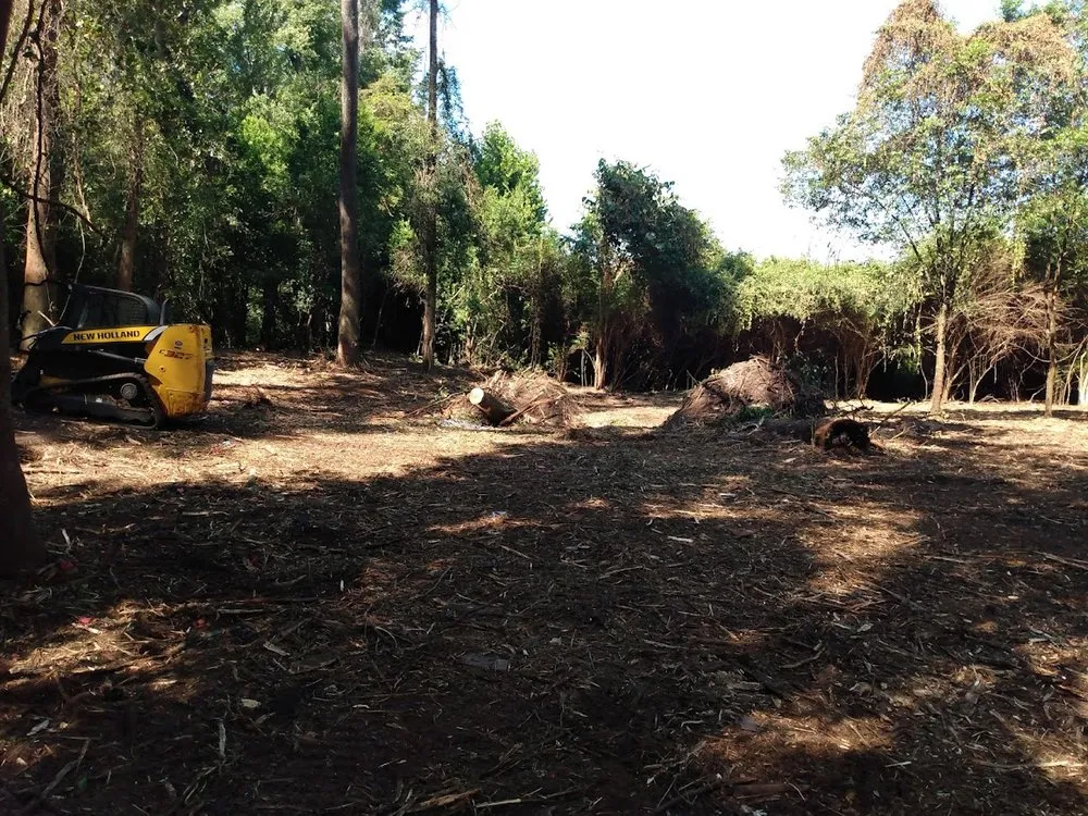 Professional yard cleanup service near you across Marion, SC - Palmetto Clear Cut
