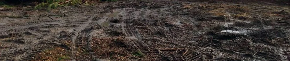 Affordable yard cleanup service experts serving Marion, SC - Palmetto Clear Cut